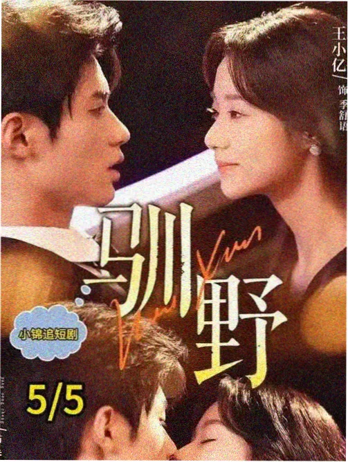 姐姐的睡前故事有声书封面
